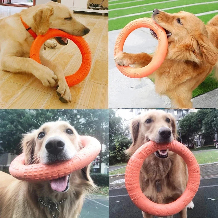 Dog Ring Toys Indestructible Chewing Flying Floating Training Tools Fetch for Sm